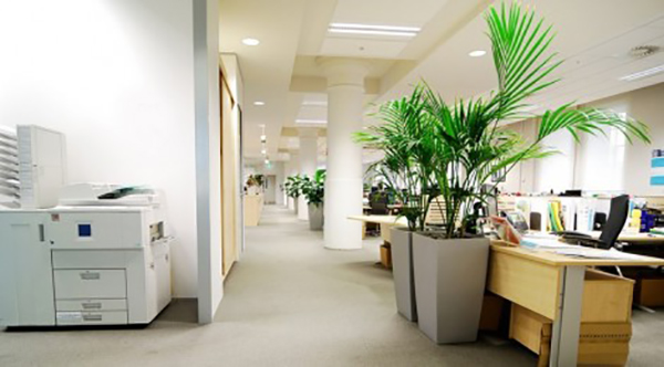 辦公室裝修中室內(nèi)陳設(shè)的知識(shí)